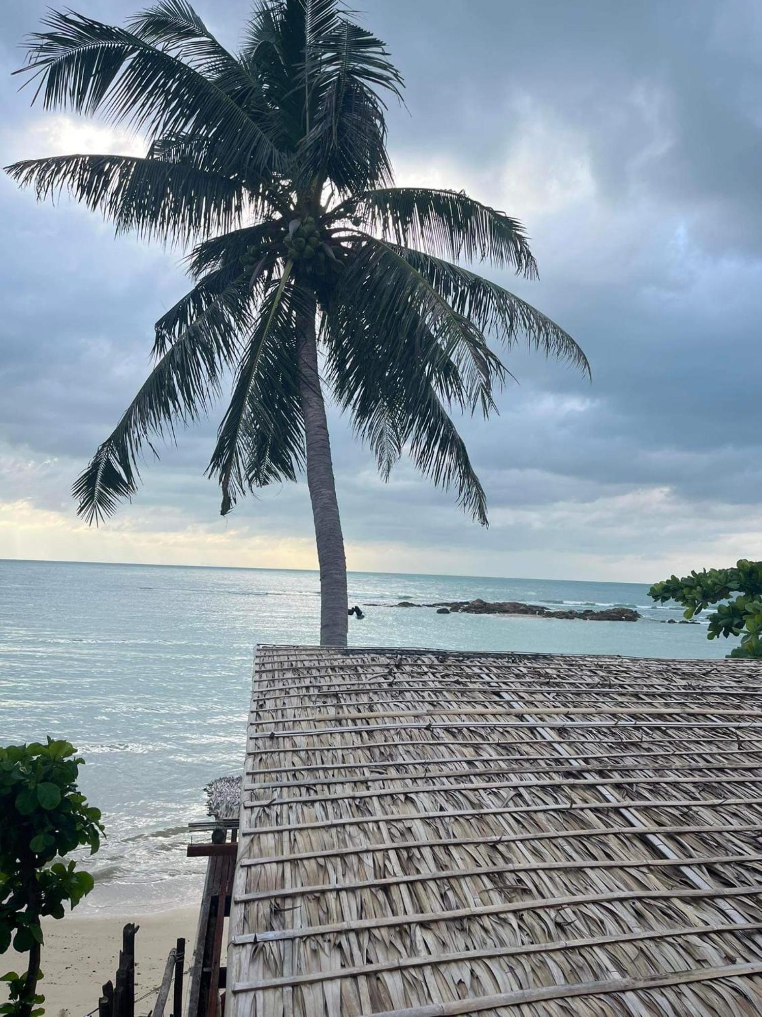 Benjamin'S Hut Hotell Srithanu Exteriör bild